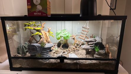 Reptile Tank