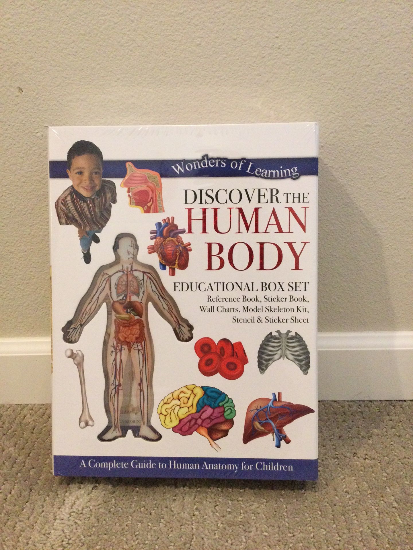 NEW! Wonders Of Learning | Human Body