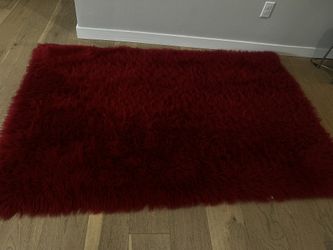 Burgundy/dark Red Rug