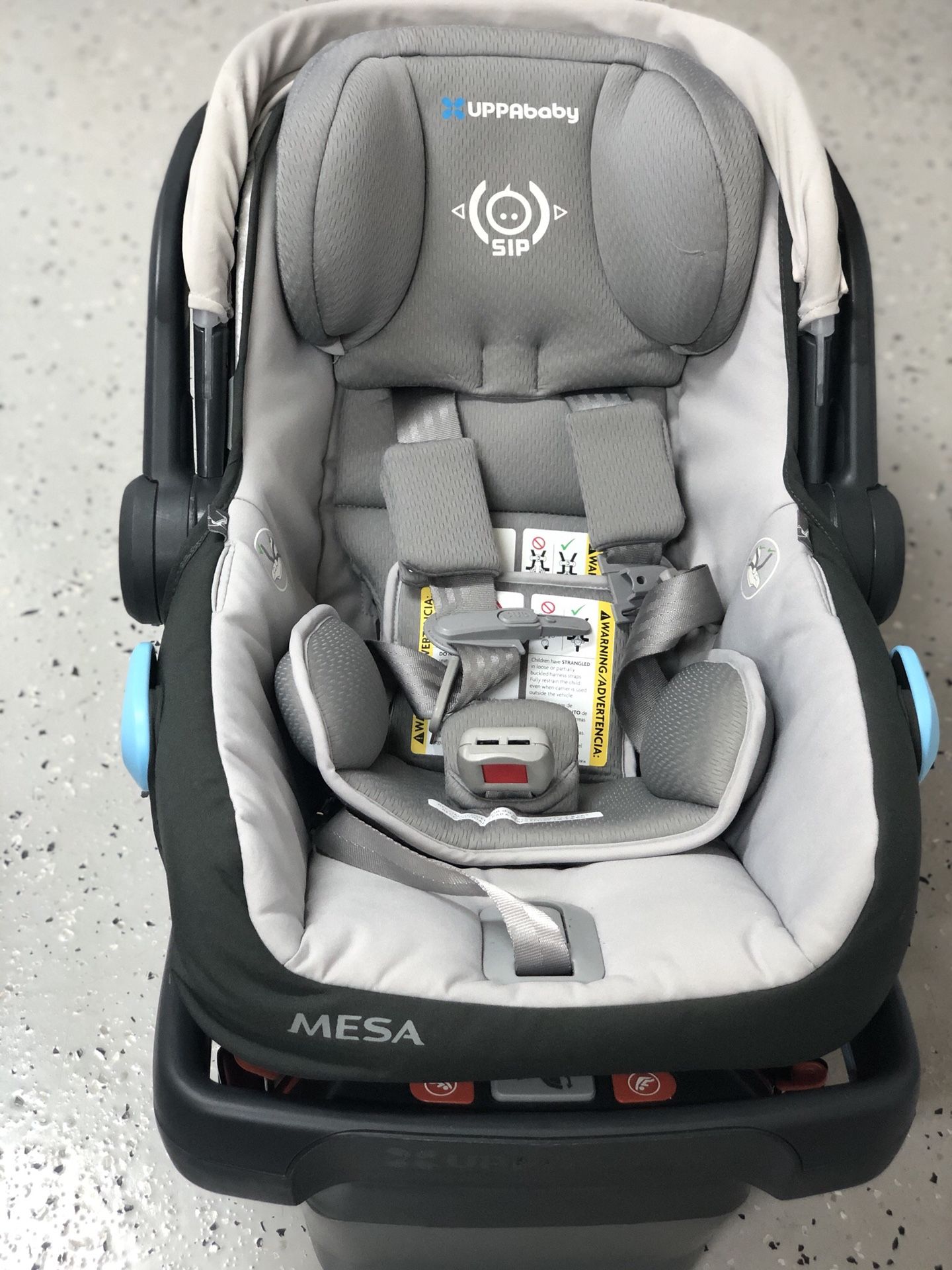 UPPAbaby MESA Infant Car Seat, Pascal Gray
