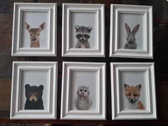 Set of 6 Woodland Pictures