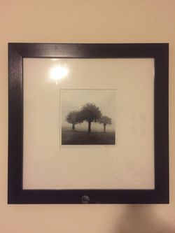 Framed Tree Print