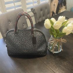 Coach Purse and Clutch