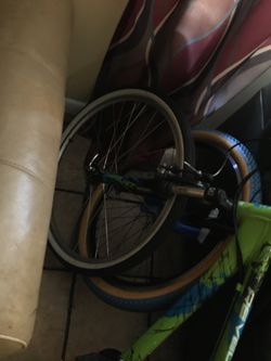 Giant bike