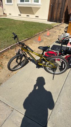 Schwinn Mesa 20in Bike