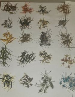 240 Flyfishing Flies