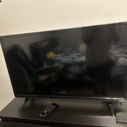 Vizio Small Tv ( Tv Remote battery Cover Gone)