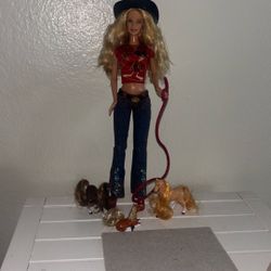 Daffy Duck Barbie With Accessories 