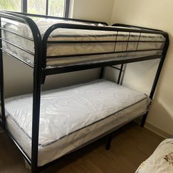Twin over Twin bunk beds frame and free delivery in box with the mattress and