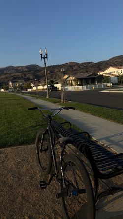 street co 29er