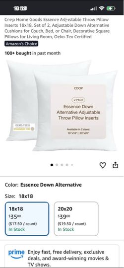 COOP Goods Essence Adjustable Throw Pillow ( 2 )