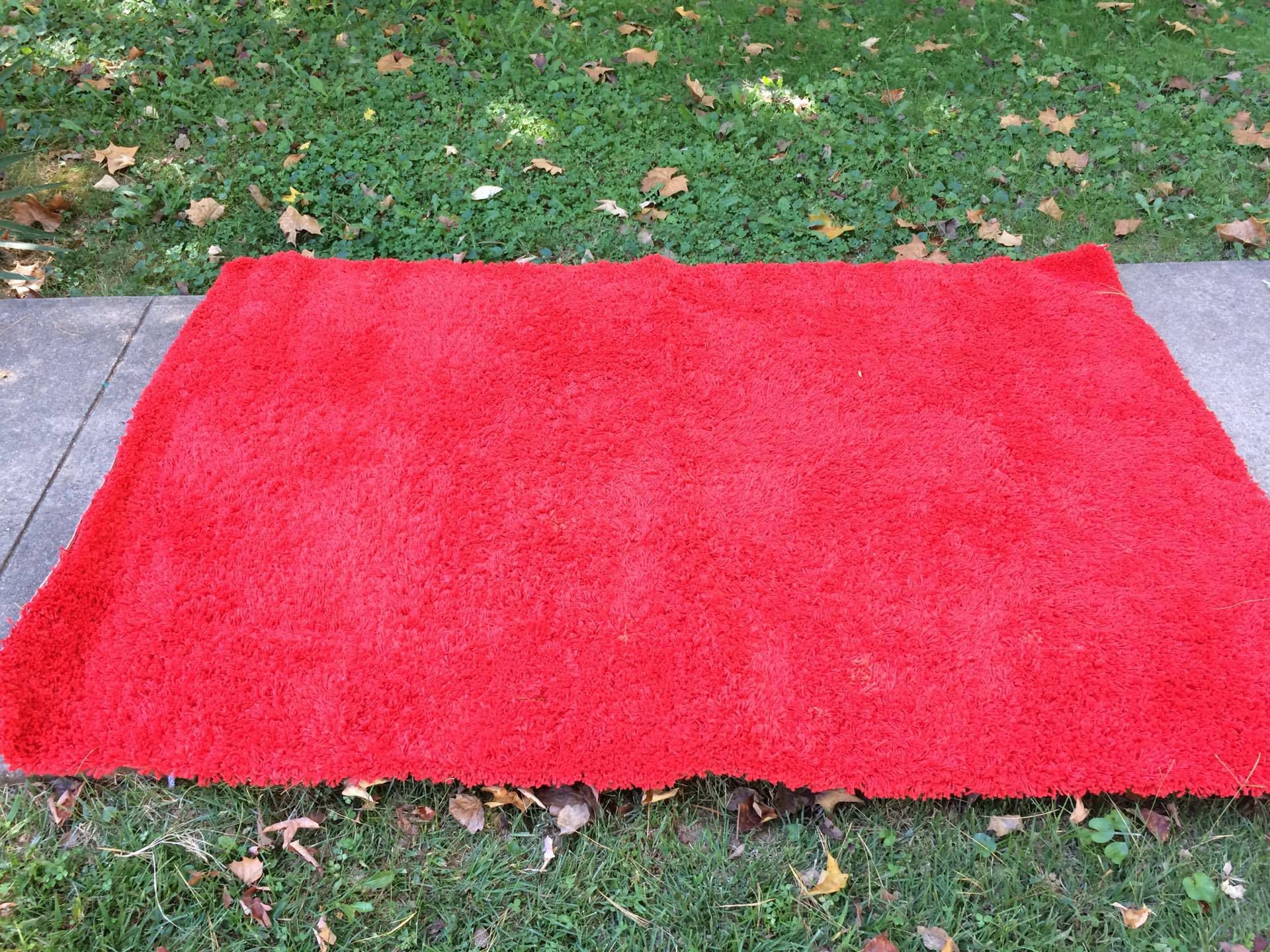 Red Shag Area Rug 4'4" x 6'4"