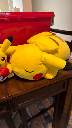 Pokémon stuffed animals sleeping Pikachu mini Pikachu  love Eevee