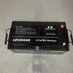 ZOOGAMO 12V 300Ah Lithium LiFePO4 Deep Cycle Rechargeable Battery with Built in BMS, 3000+ Cycles & 10 Year Lifetime