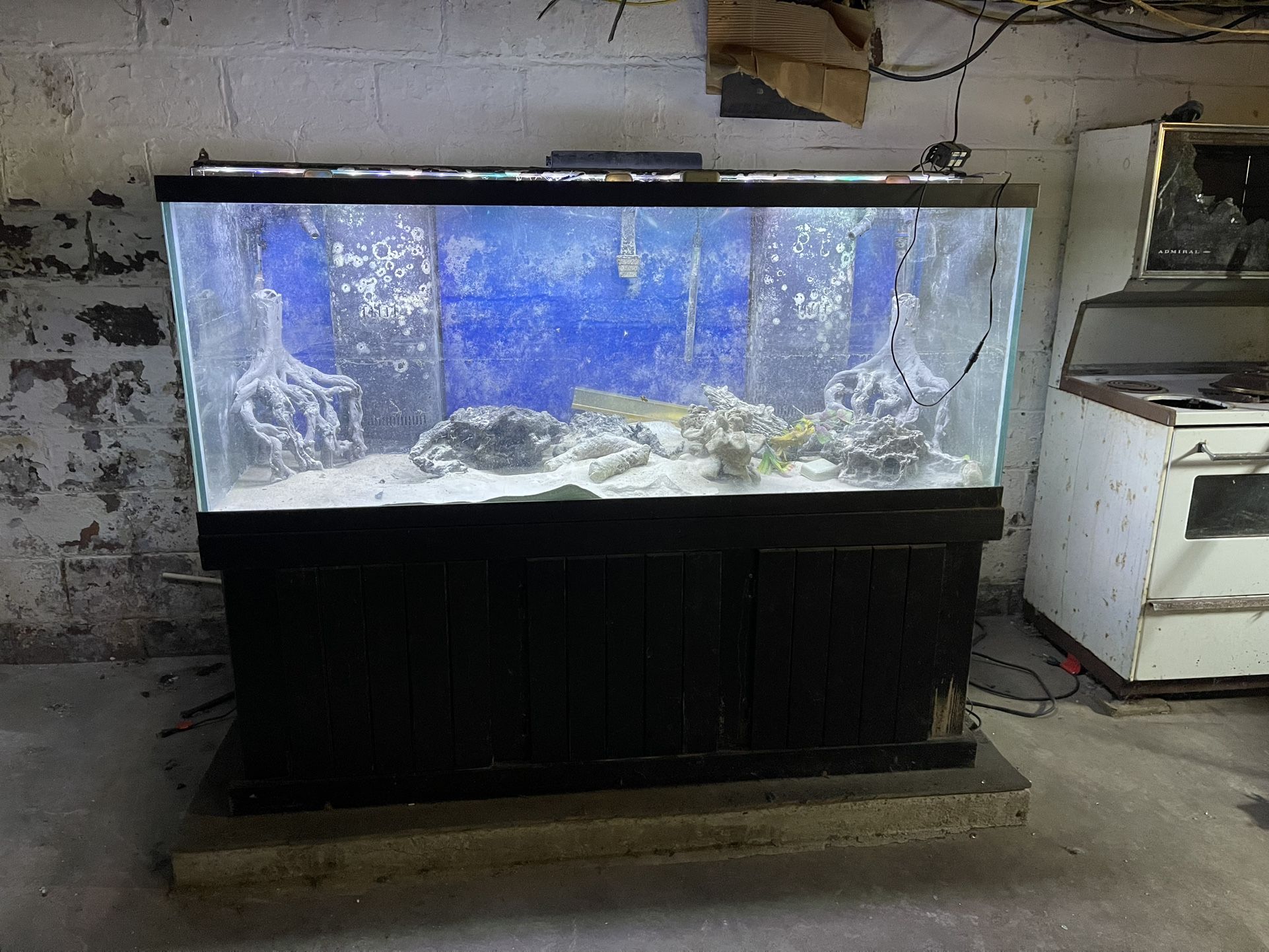 Fish Tank