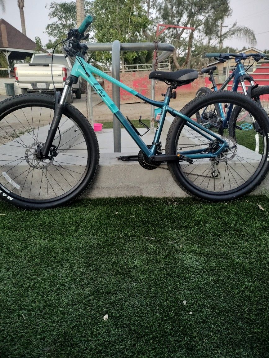 Mountain Girl Liv Bike Small 