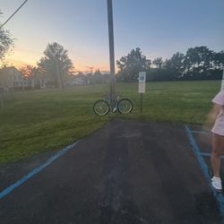 Monster Quad 29 Inch 