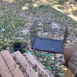 Free xl rusted dog cage 