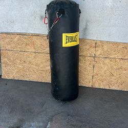 Everlast punching Bag