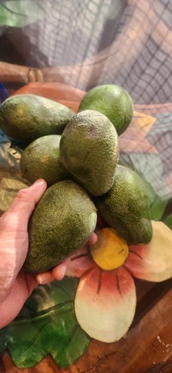 Avocados /Aguacates $1.00