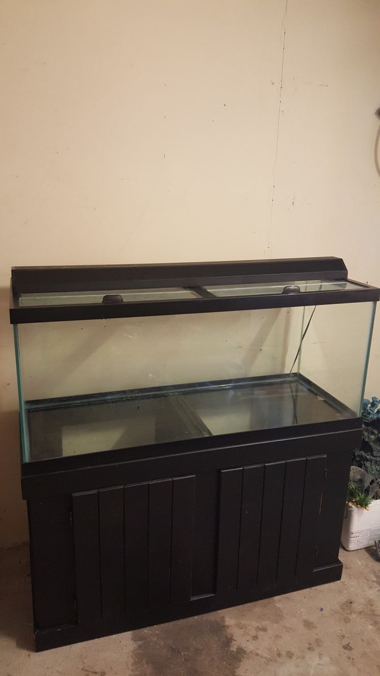 75 gallon aquarium fish tank