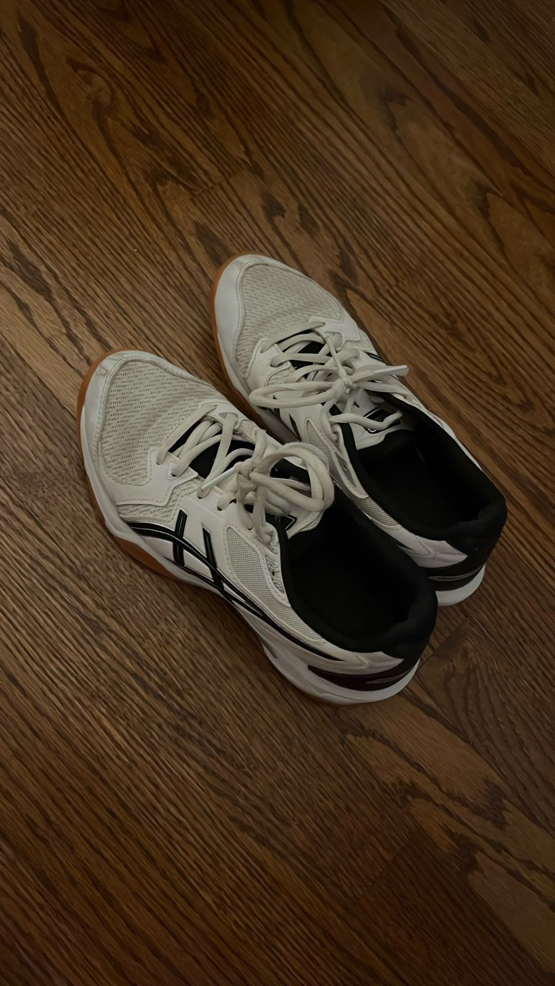 Acics Volleyball Shoes With Gel Bottom