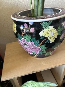 With the snake plant and pot