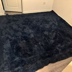 Large Blue Rug 