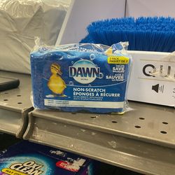 Dawn Sponges