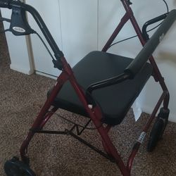 Seated Walker 