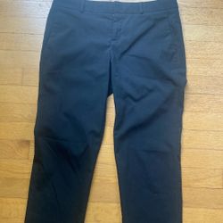 Ladies Banana Republic Size 2 Pants