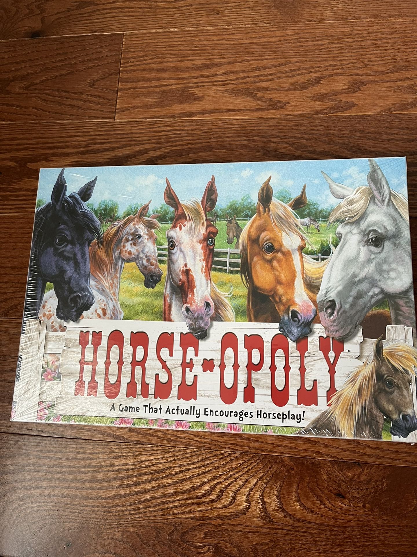Horse-opoly A Game That Actually Encourages Horse Play
