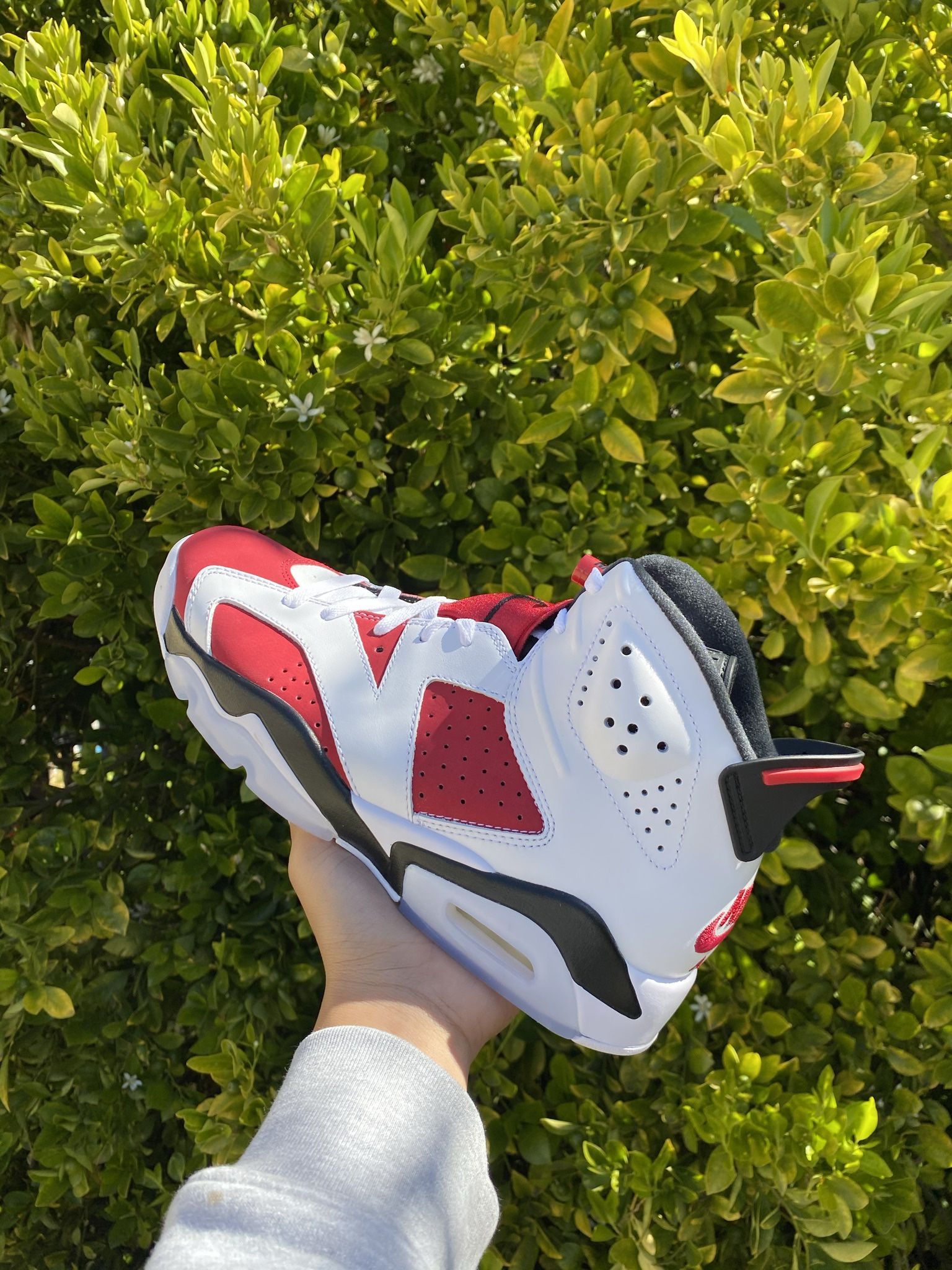 Jordan Carmine Size Brand New In Box