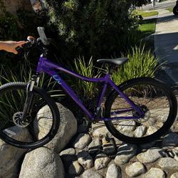 Liv Bliss Mountain Bike