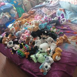 Stuffed Animals 