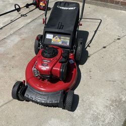 Lawn Mower & Weed Trimmer