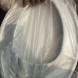 Brand New Toilet Seat