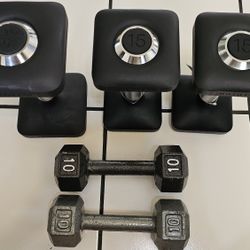 Peloton Dumbbells 