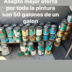 dunn edward’s paint