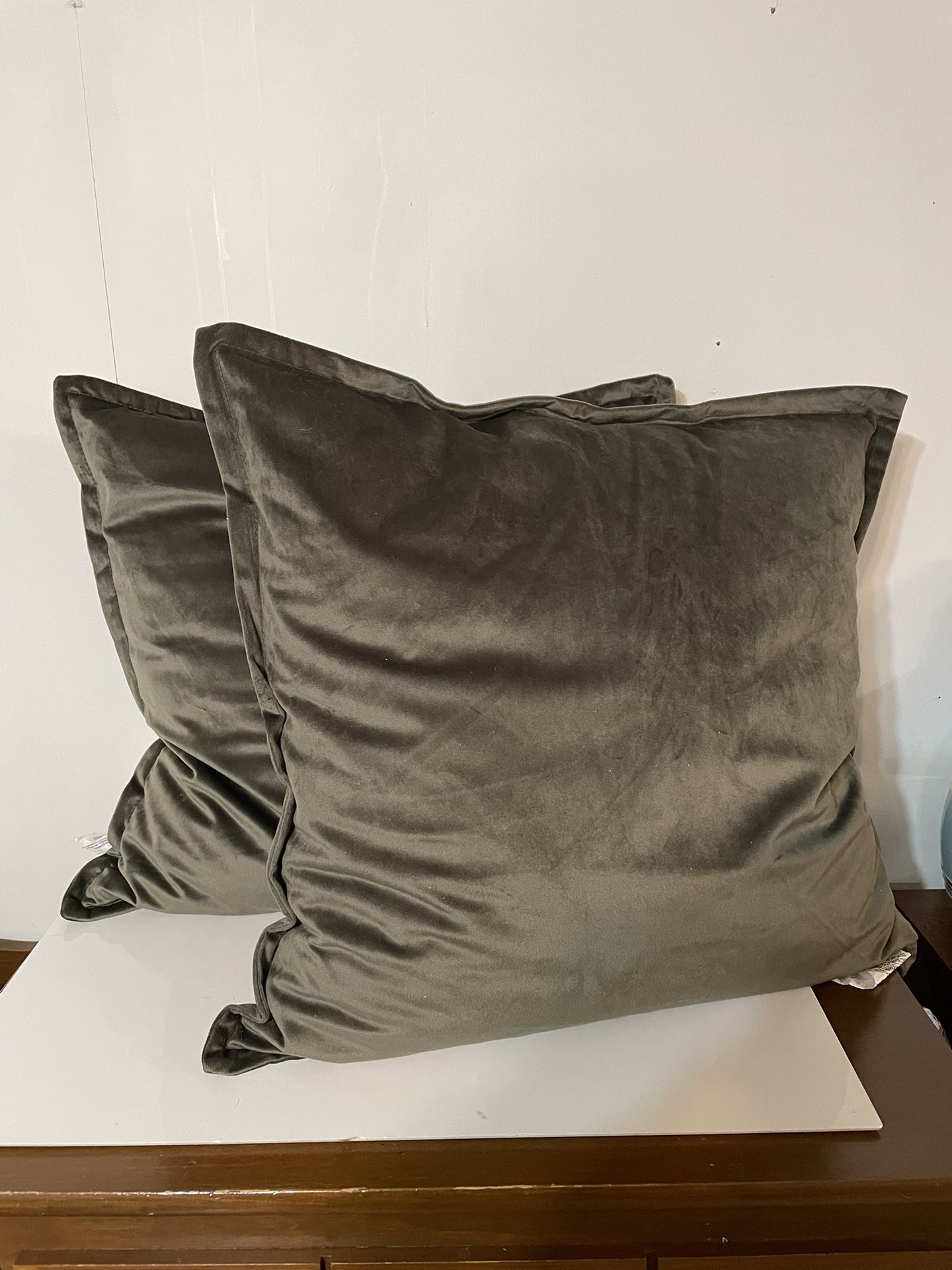 Two Very Nice Sage Green Pillows Never Used