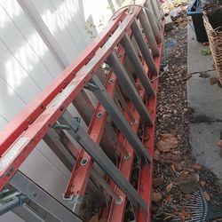 Fiberglass jack ladder