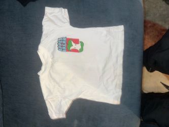 Toddler Zara boy graphic tees. 18 months