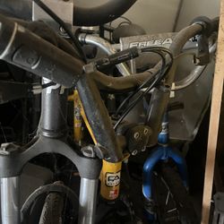 BMX free agent Bikes 