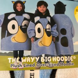 The Wayy Big Hoodie