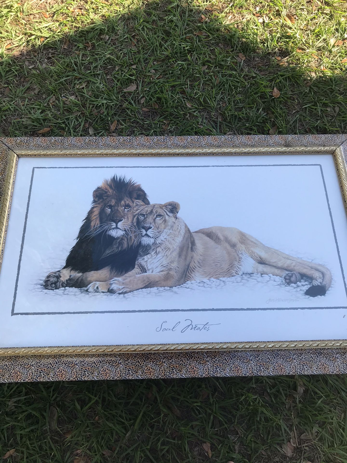 lion and giraffe paintings