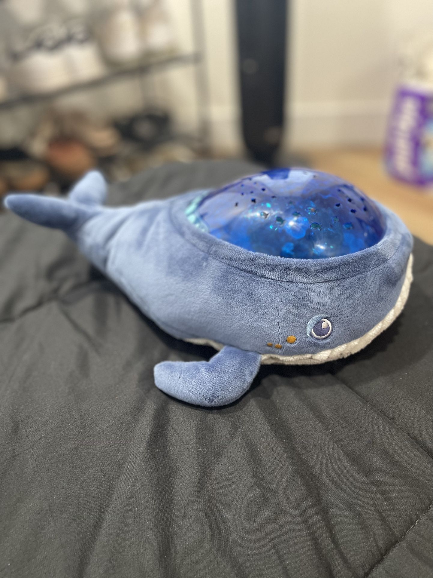 Whale Projector