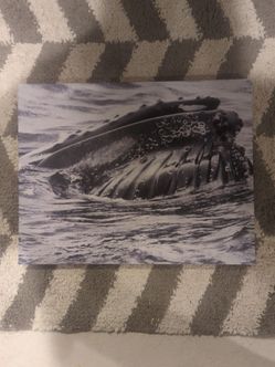 Whale watch canvas