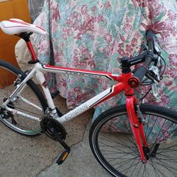 Schwinn Road Bike Perfect Working 19in.