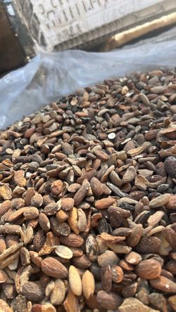 Cattle feed