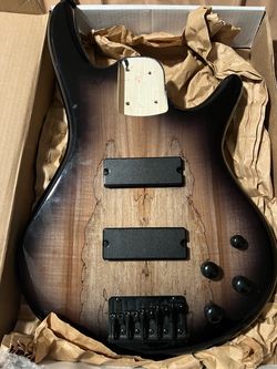 Fully Loaded Ibanez Bass Body